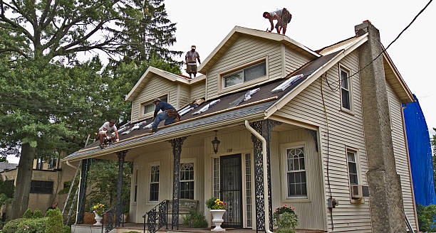 Best Roof Maintenance Services  in Ellettsville, IN